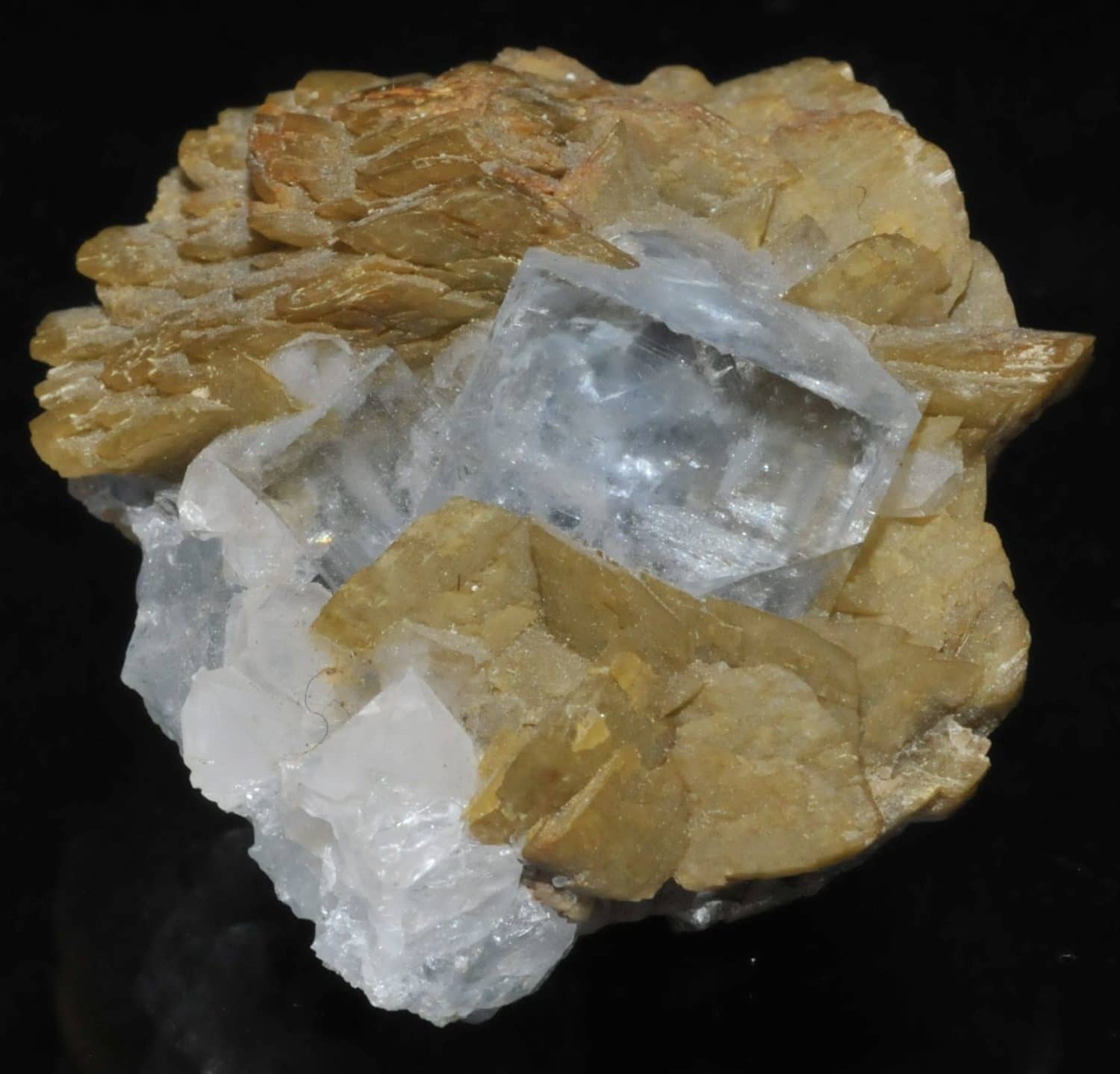 Fluorite et sidérite du Burc (Tarn).