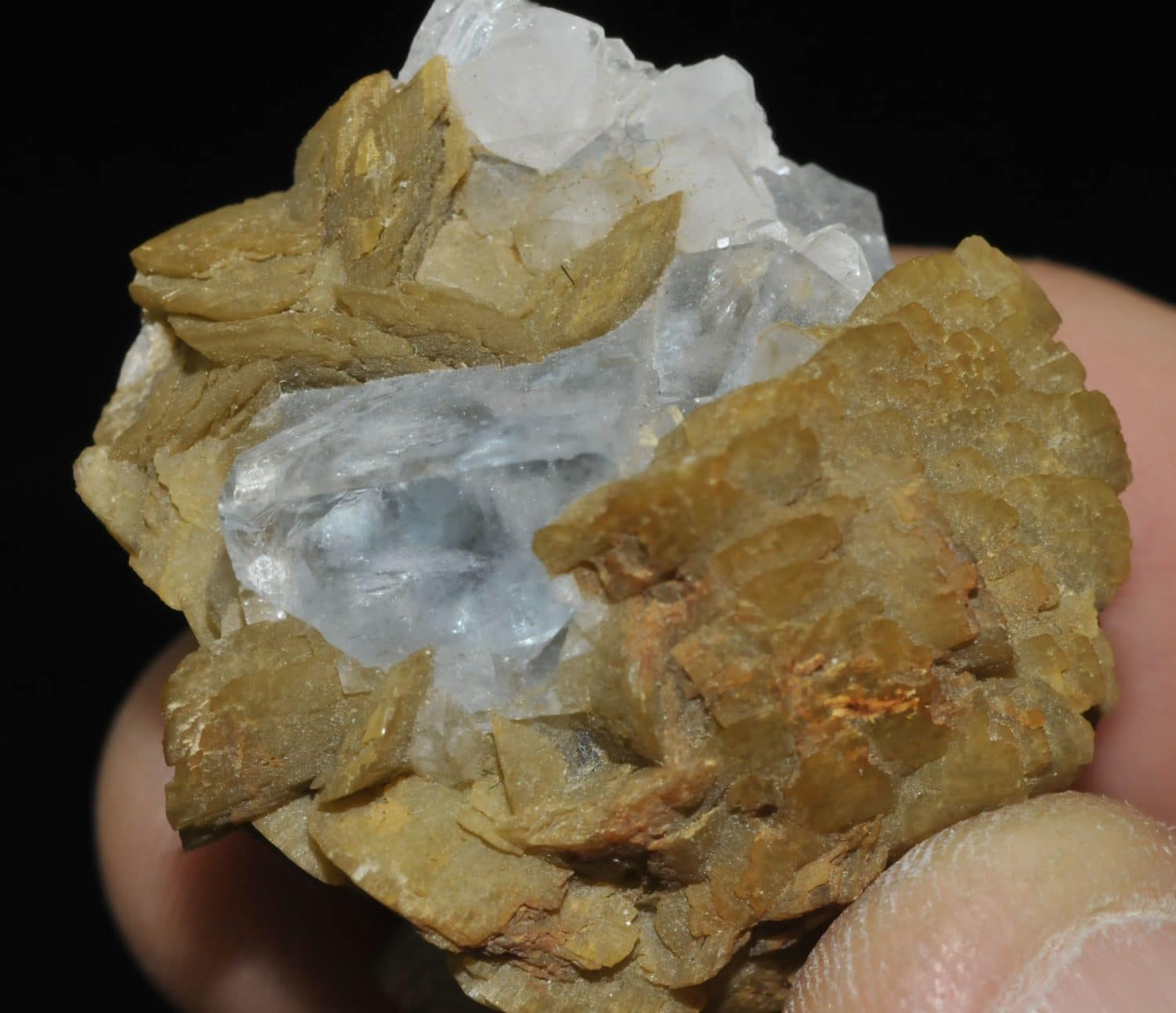 Fluorite et sidérite du Burc (Tarn).