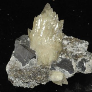 Gerbe de cristaux de calcite et cristaux de galène de Planioles (Lot).