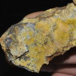 Parsonsite de la mine de la Faye à Grury (Saône-et-Loire).