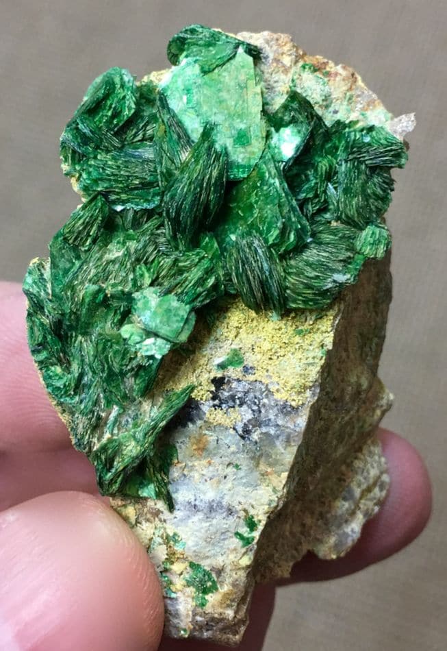 Torbernite sur dewindtite (parsonsite) de la mine de Rophin (Puy-de-Dôme).