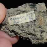 Augite pyroxène d'Italie (ex Deyrolle).