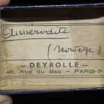 Annerodite de Norvège (ex Deyrolle).