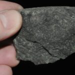 Serpentine du Var (ex Deyrolle).