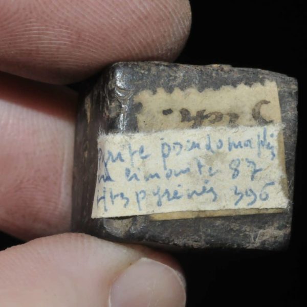 Pyrite pseudomorphose en limonite des Pyrénées (ex Deyrolle).