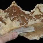 Baryte de Saint-Bresson dans le Gard – Image 6