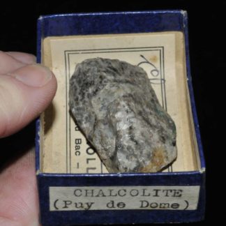 Chalcolite (torbernite) du Puy de Dôme (ex Deyrolle).