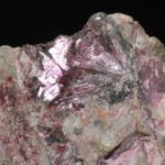 Érythrite du Maroc (ex Deyrolle).