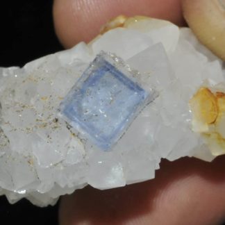 Fluorite bleue et quartz de la mine du Burc (au Burg, Tarn).