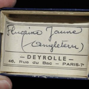 Fluorine jaune d'Angleterre (ex Deyrolle).