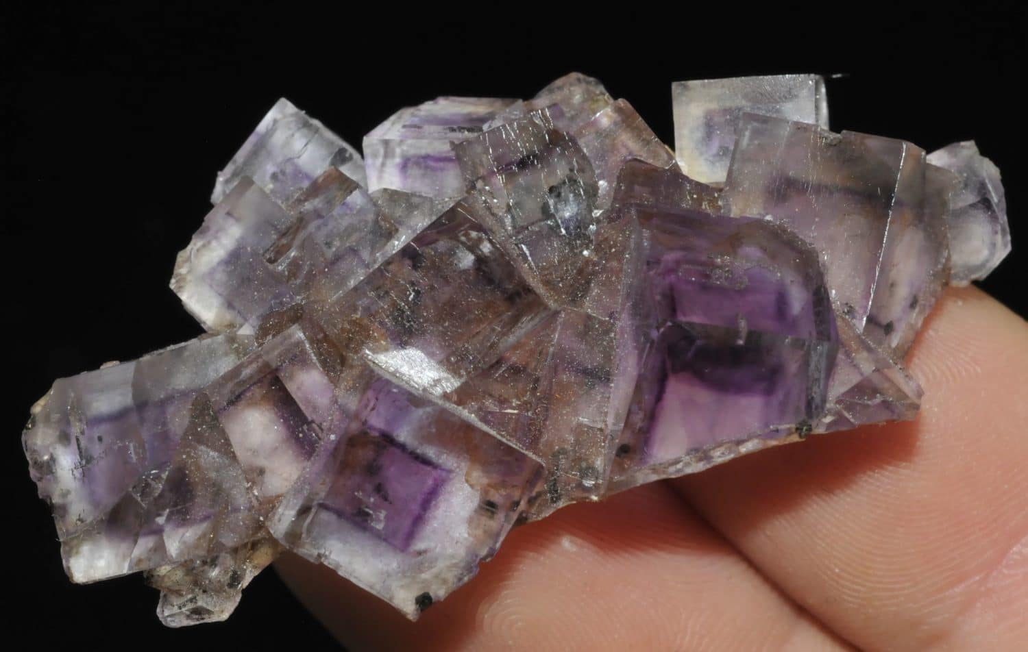 Fluorite mauve à fantômes de croissance de l'Illinois (USA).