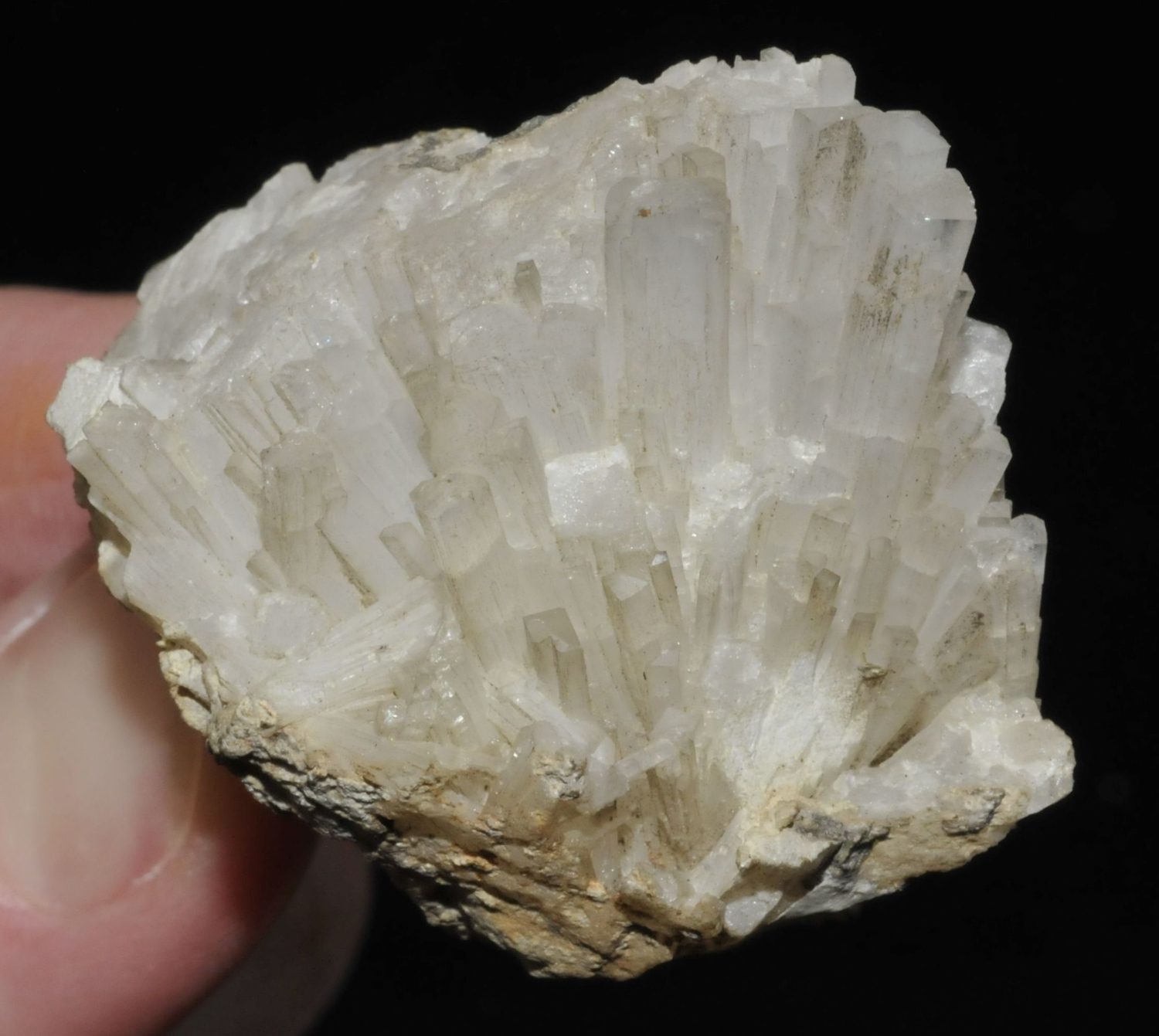 Géode de quartz – Deyrolle