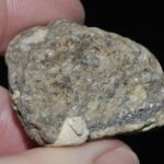 Nadorite du djebel Nador en Algérie (ex Deyrolle).