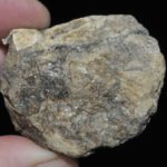 Nadorite du djebel Nador en Algérie (ex Deyrolle).