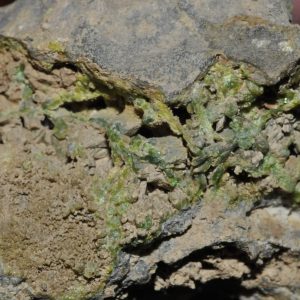 Pyromorphite du Cumberland (Royaume-Uni, ex Deyrolle).