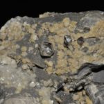 Quartz "diamant" et ankérite dans une septaria (Drôme).