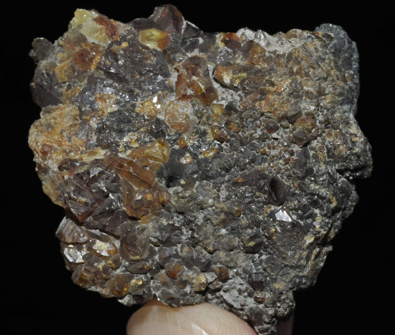 Géode de quartz – Deyrolle