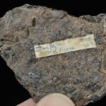 Triplite de Haute-Vienne (ex Deyrolle).