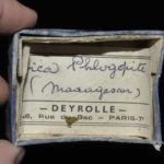 Phlogopite (mica) de Madagascar (ex Deyrolle).