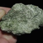 Actinote verte de Nouvelle Calédonie (ex Deyrolle).