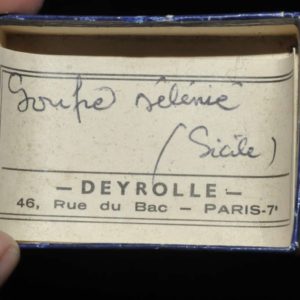 La soupe – Deyrolle