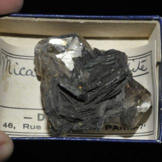 Mica zinnwaldite de Bohême (ex Deyrolle).