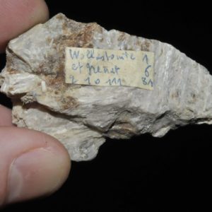 Wollastonite et grenat de Madagascar (ex Deyrolle).