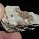 Wollastonite et grenat de Madagascar (ex Deyrolle).