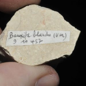 Bauxite blanche du Var (ex Deyrolle).
