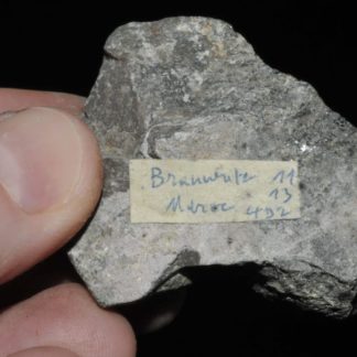 Brannérite du Maroc (minéral radioactif, ex Deyrolle).