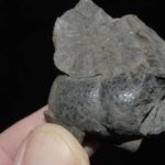 Hématite brune fibreuse d'Italie (ex Deyrolle).