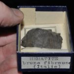 Hématite brune fibreuse d'Italie (ex Deyrolle).