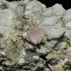 Fluorine rose de Chamonix (massif du Mont-Blanc).