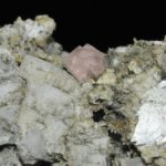 Fluorine rose de Chamonix (massif du Mont-Blanc).