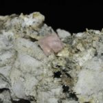 Fluorine rose de Chamonix (massif du Mont-Blanc).
