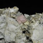 Fluorine rose de Chamonix (massif du Mont-Blanc).