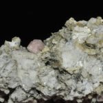 Fluorine rose de Chamonix (massif du Mont-Blanc).