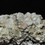 Fluorine rose de Chamonix (massif du Mont-Blanc).