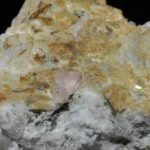 Fluorine rose du Mont-Blanc (Chamonix - Haute-Savoie).