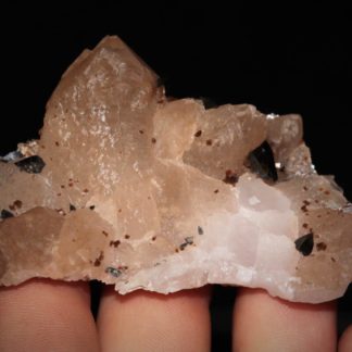 Cristaux de quartz avec anatase et dravite de la Lauzière en Savoie.