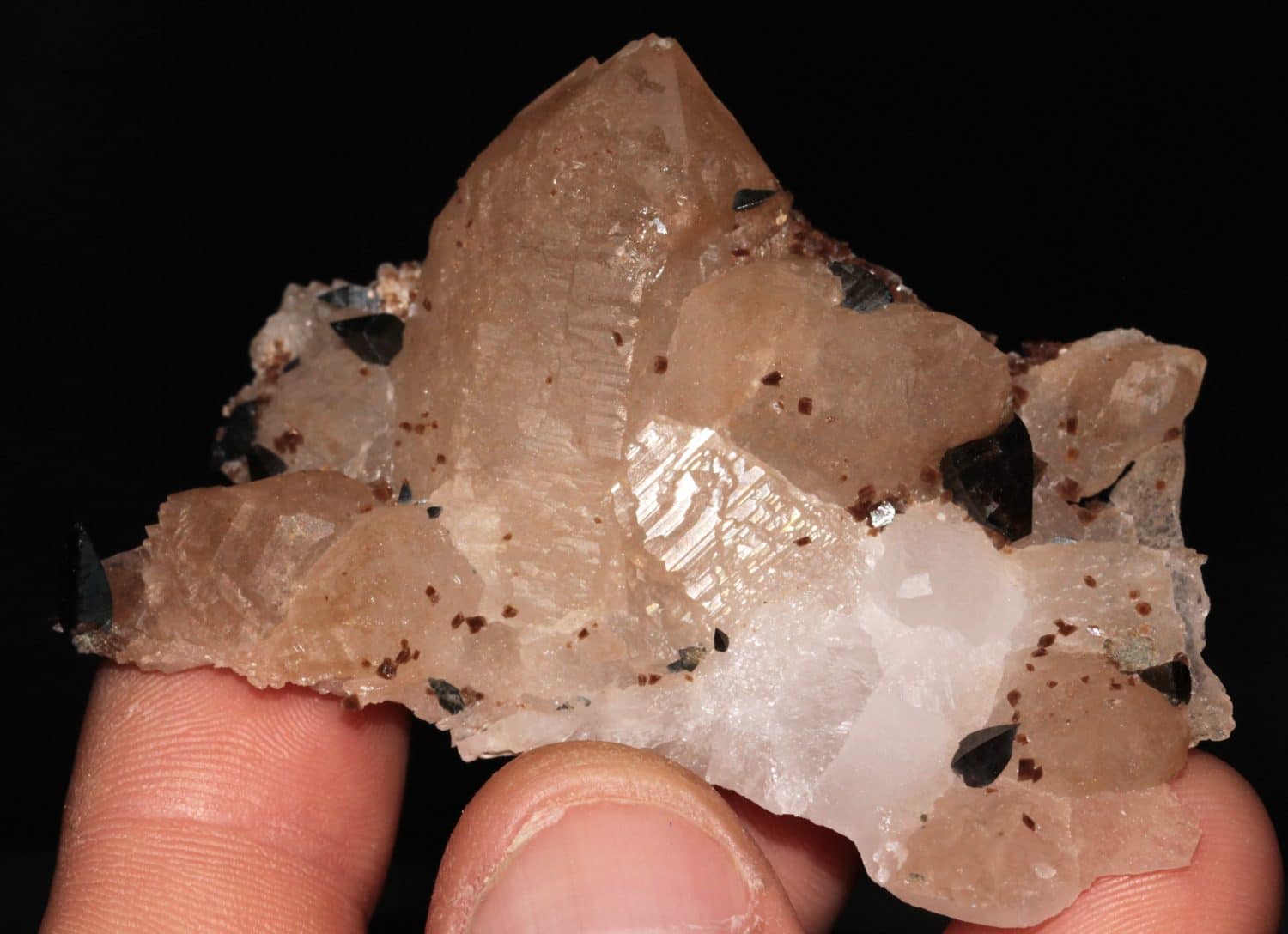 Groupe de quartz avec des anatases et de la dravite en provenance de la Lauzière, en Savoie