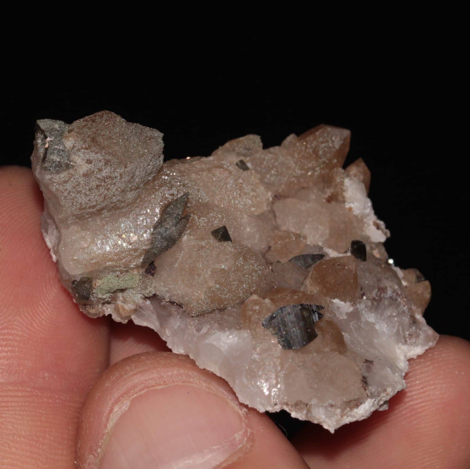Anatase sur quartz chloriteux, massif de la Lauzière, Savoie
