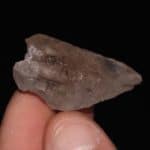 Quartz fumé recristallisé et dravite, La Lauzière, Savoie