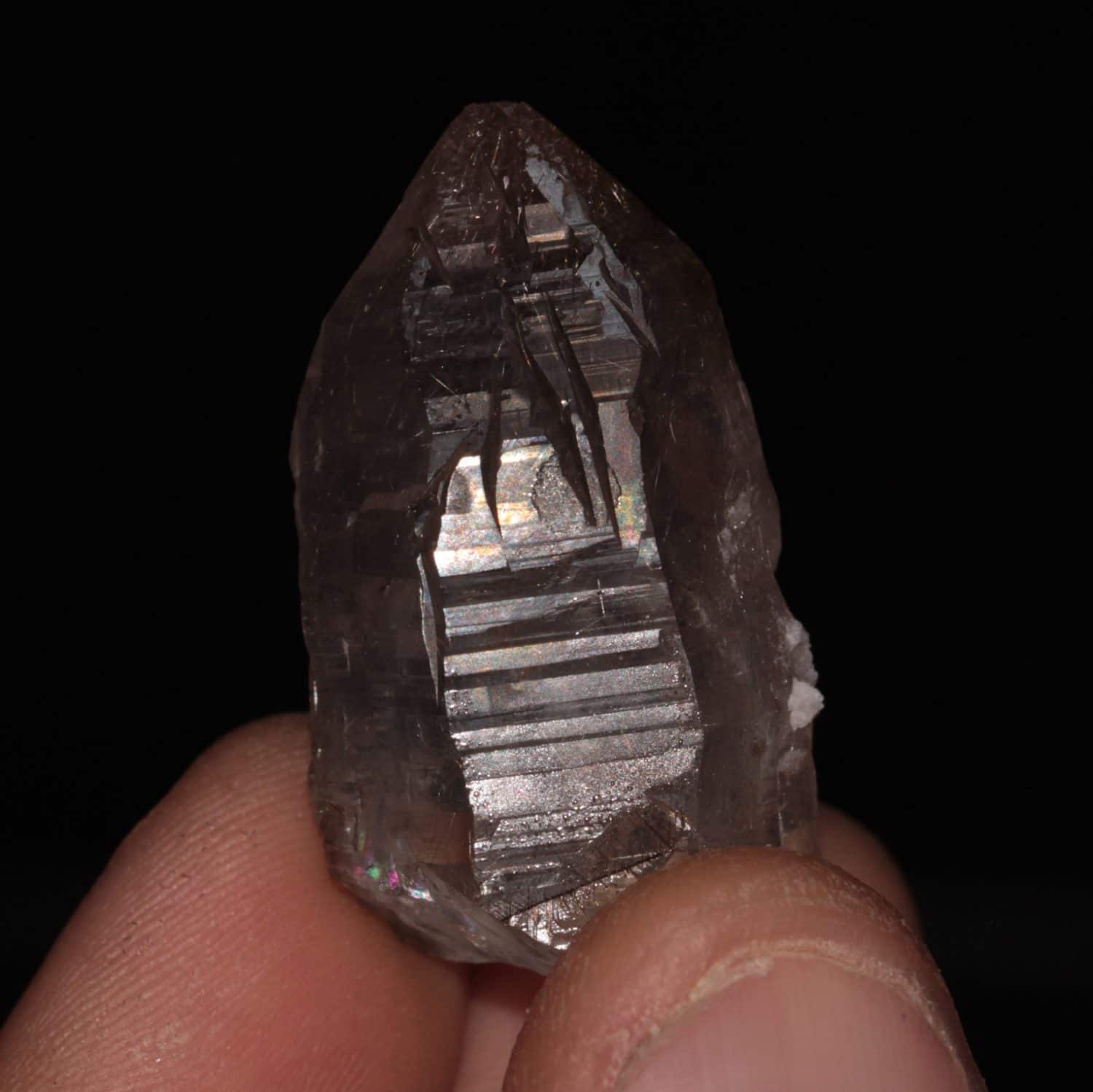 Cristal de quartz fumé associé à de la dravite, massif de la Lauzière, Savoie.