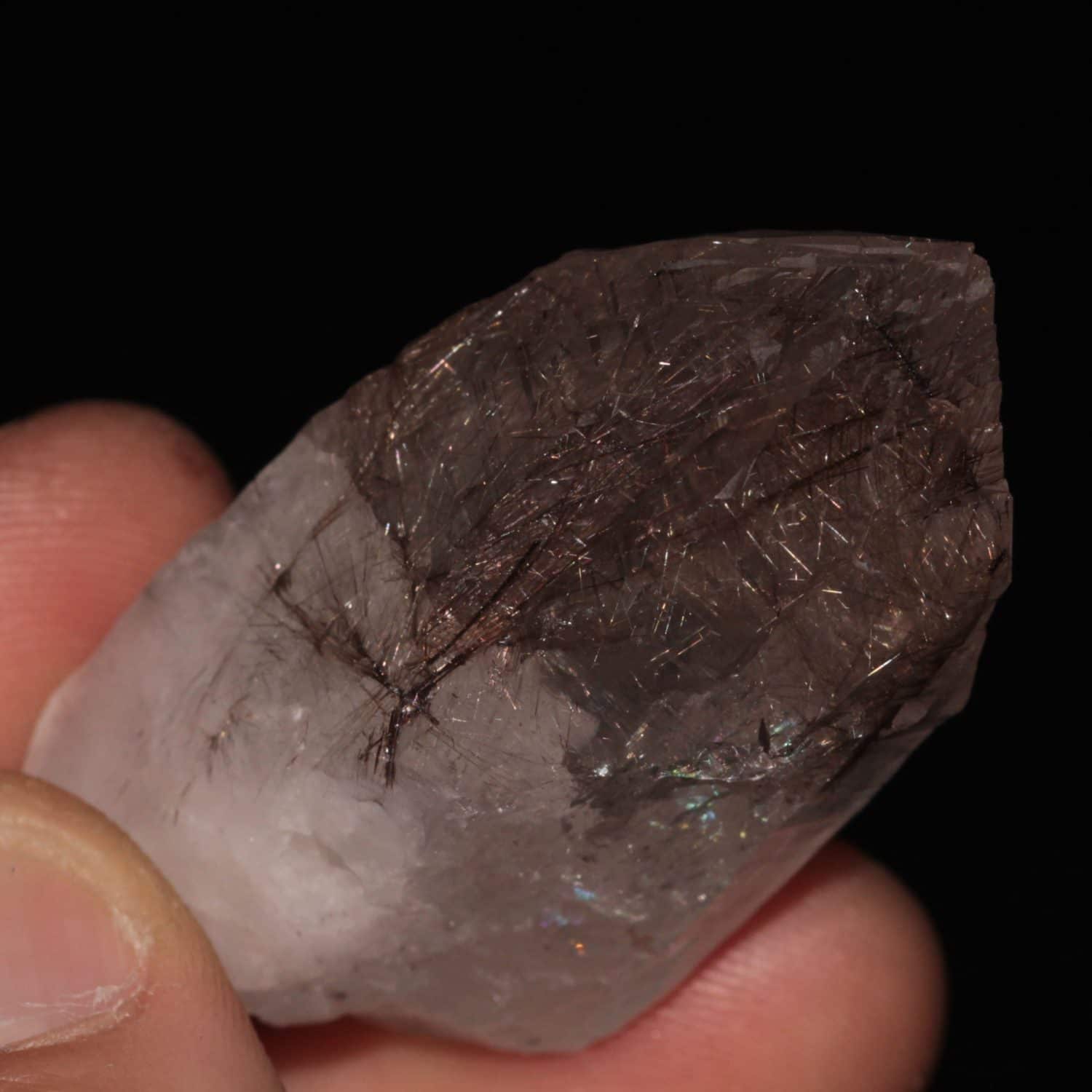 Cristal de quartz fumé associé à la dravite (tourmaline) du massif de la Lauzière (Savoie).