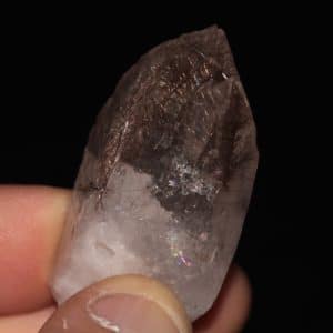 Cristal flottant de quartz fumé associé à la dravite, massif de La Lauzière (Savoie)