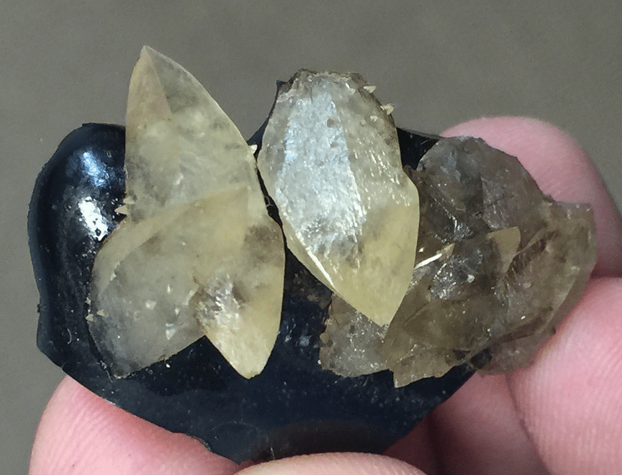 Calcite sur bitume, carrière d'Usclas-du-Bosc, près de Loiras, Hérault.