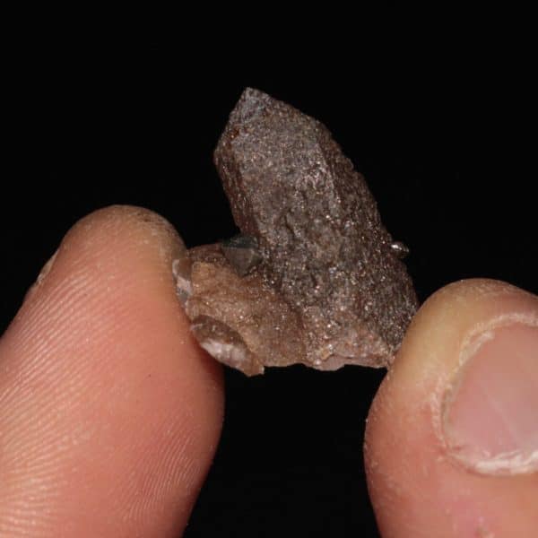Anatase isolée sur quartz cloriteux de la Lauzière en Savoie