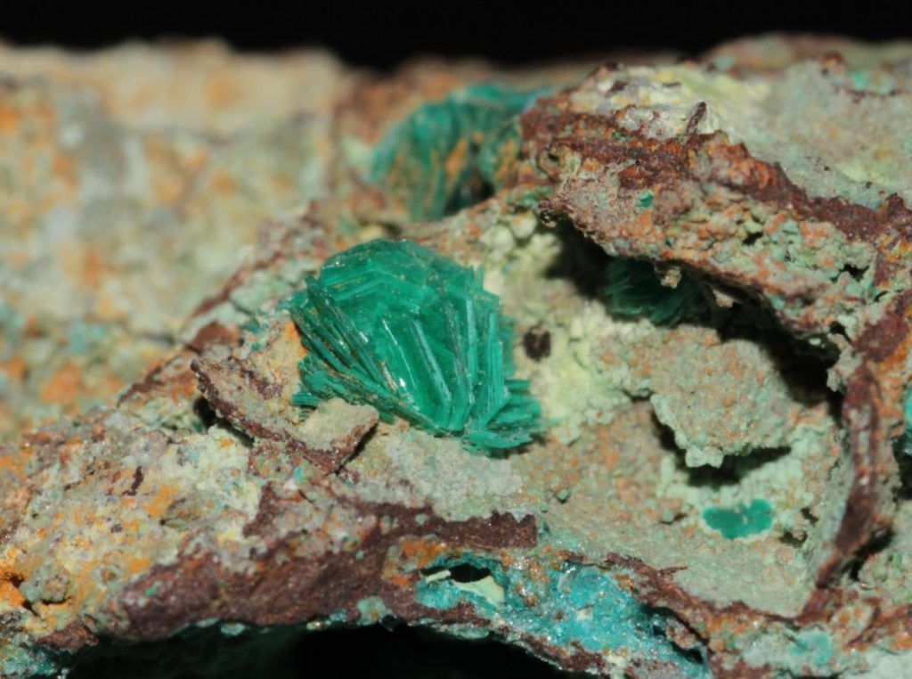 Chalcophyllite et chrysocolle, mine de Salsigne, Aude.