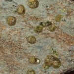 Grenat (variété démantoïde), Valmalenco, Valtellina, Italie.